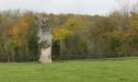 Visite du Haras de La Monnerie, 61240 La Genevraie image 13