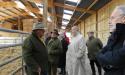 Visite du Haras de La Monnerie, 61240 La Genevraie image 22