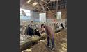Visite de la Ferme AgroParisTech de Grignon image 14