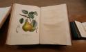 Journées du patrimoine : Visite de de l'Académie d’Agriculture de France image 12