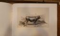 Journées du patrimoine : Visite de de l'Académie d’Agriculture de France image 16