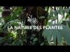 Embedded thumbnail for 06.05.V03 : vidéo Nature des plantes (Muséum National d&amp;#039;Histoire Naturelle) : D&amp;#039;air et d&amp;#039;eau fraîche