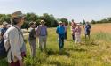 Conférences et visites « Journées des légumineuses à graines à Dijon : des champs aux assiettes ». image 7